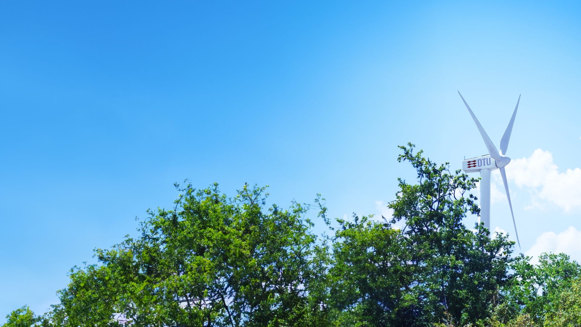 WAsP – Giải pháp tiêu chuẩn toàn cầu trong đánh giá và quy hoạch điện gió