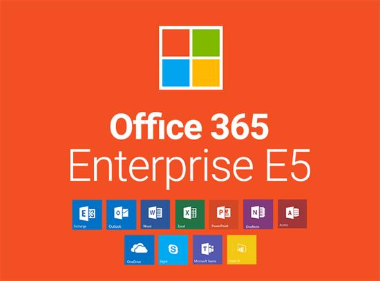 Microsoft Office 365 E5 (no Teams)