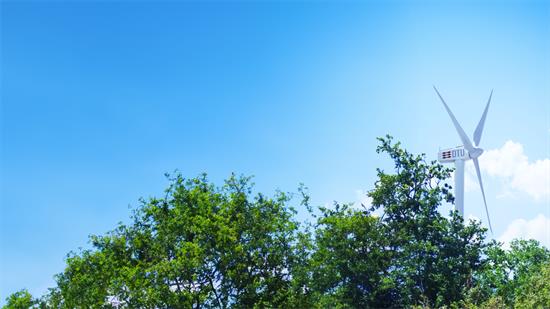 WAsP – Giải pháp tiêu chuẩn toàn cầu trong đánh giá và quy hoạch điện gió